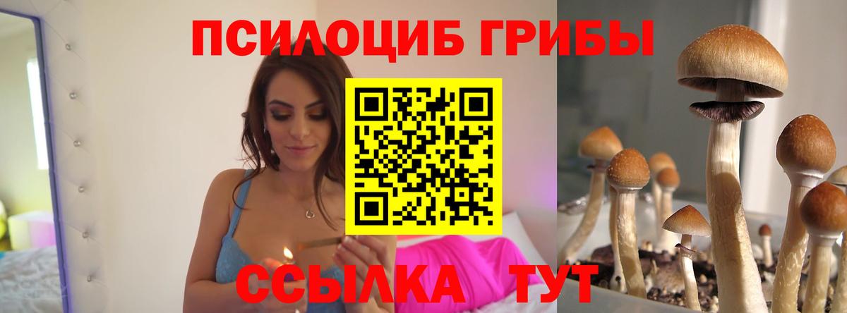 Галлюциногенные грибы GOLDEN TEACHER Асино